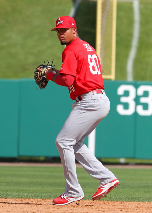 Edmundo Sosa Stats, Profile, Bio, Analysis and More, Philadelphia Phillies