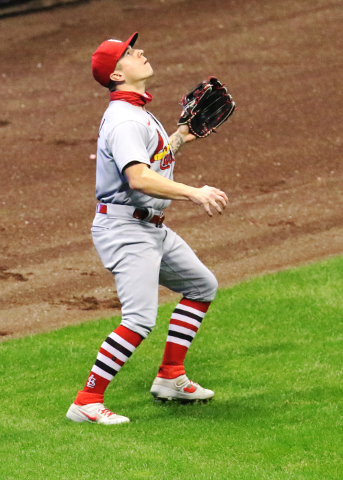 Tyler O'Neill Stats & Scouting Report — College Baseball, MLB Draft,  Prospects - Baseball America