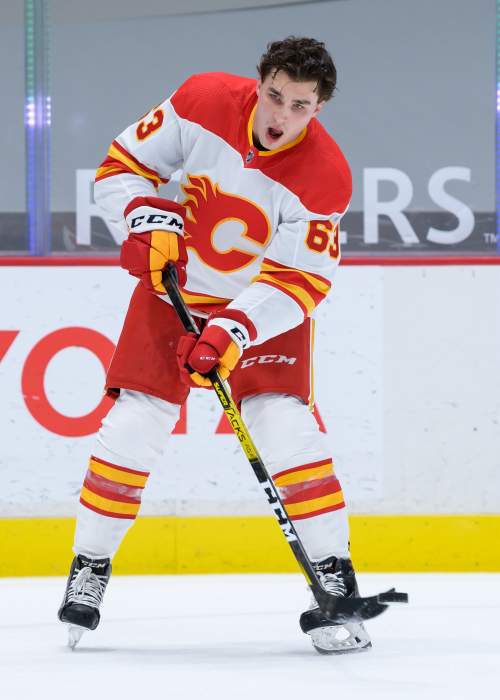 Stats for player Ruzicka, Adam #63 (C) - Calgary Flames - 2023/2024 Regular  Season