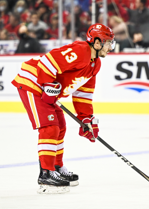 Johnny Gaudreau Stats, Profile, Bio, Analysis and More | Calgary Flames |  Sports Forecaster