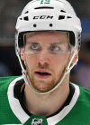 Radek Faksa